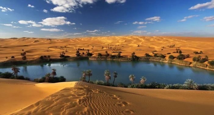 오화(午), 사주 지지 오화의 성격, 특성, 직업 등 완전 정리 (2)│ 오오자형, 도화, 오화의 폭발성, 개점휴업